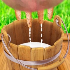 Milk the Cow