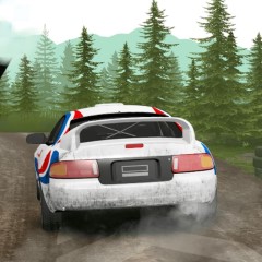 Rally Champion